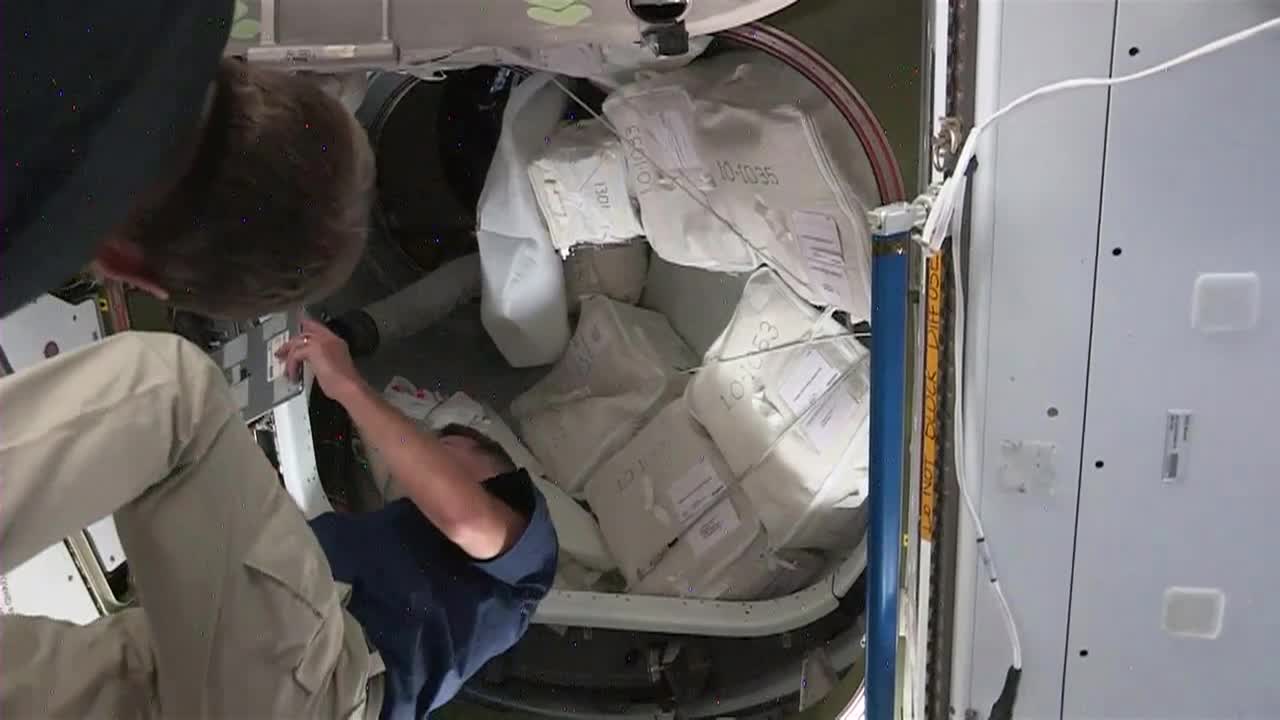 NASA's SpaceX Crew-1 Mission Flight Day Highlights