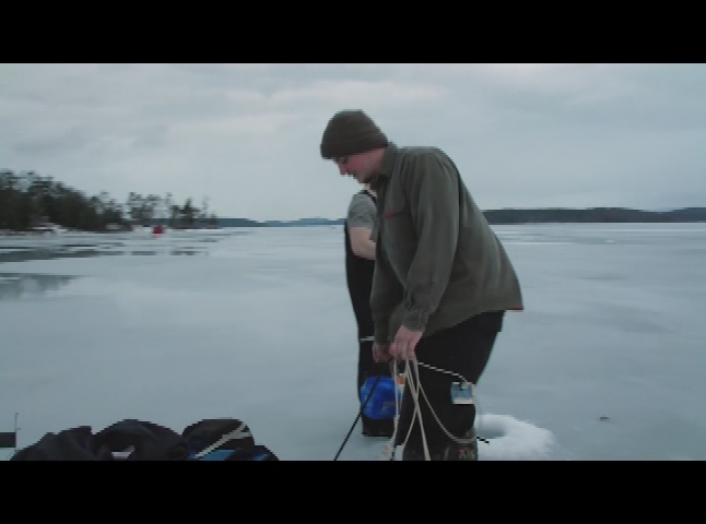 NH's Wildside - Cusk