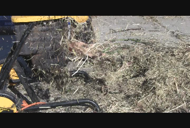 The Naked Garden: Spring Cleaning & Making a Litter Layer