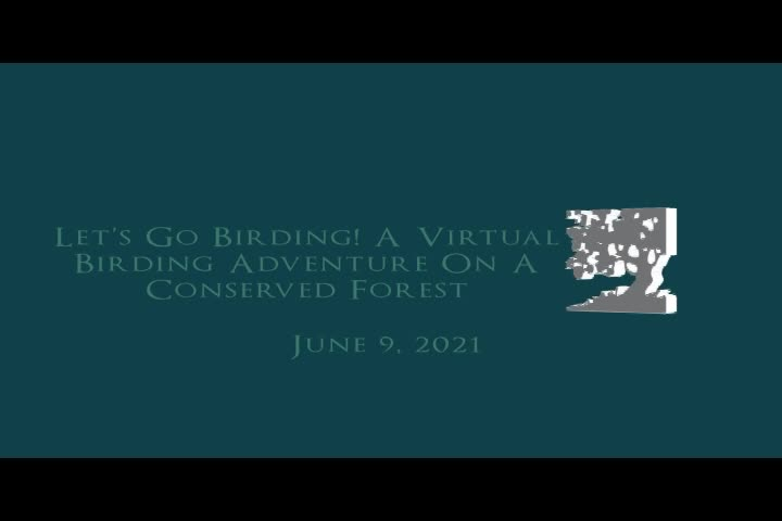 Vermont Land Trust - Let's Go Birding! A Virtual Birding Adventure on a Conserved Forest